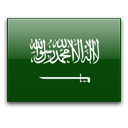 Saudi Arabia Minecraft Servers