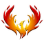 1st Network logo