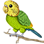 Budgie Network logo