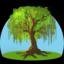 Cortis logo