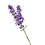 Lavender MC logo