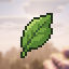Matcha Flavoured SMP logo