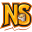 Nether Storm logo