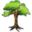 Terraconia logo